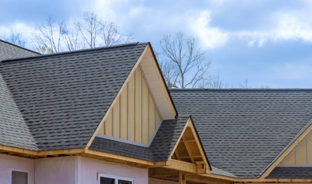 Best Solar Panel Roofing Installation  in White Cloud, MI